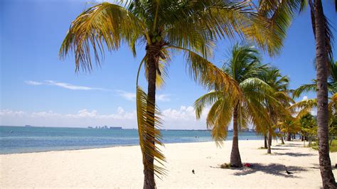 Dumpster Rental Key Biscayne FL / Key Biscayne FL Dumpsters.